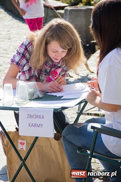 Zdjęcie w galerii na portalu naszraciborz.pl: Zerwijmy Łańcuchy w Parku Roth wiadomości z regionu