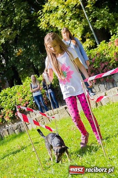 Zdjęcie w galerii na portalu naszraciborz.pl: Zerwijmy Łańcuchy w Parku Roth wiadomości z regionu