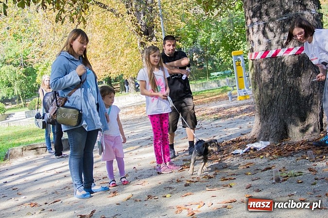 Zdjęcie w galerii na portalu naszraciborz.pl: Zerwijmy Łańcuchy w Parku Roth wiadomości z regionu