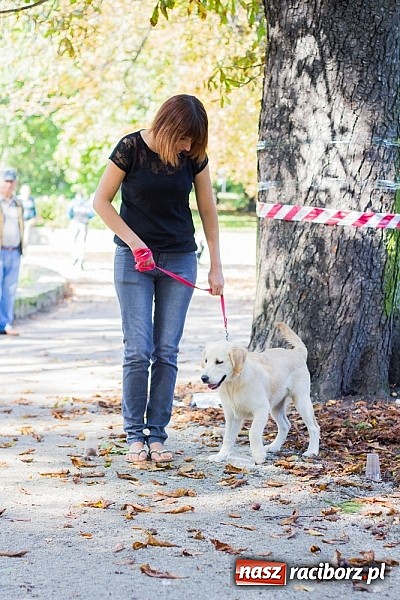 Zdjęcie w galerii na portalu naszraciborz.pl: Zerwijmy Łańcuchy w Parku Roth wiadomości z regionu