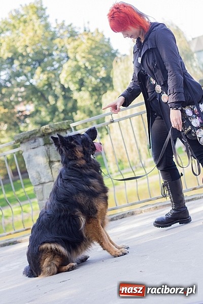 Zdjęcie w galerii na portalu naszraciborz.pl: Zerwijmy Łańcuchy w Parku Roth wiadomości z regionu