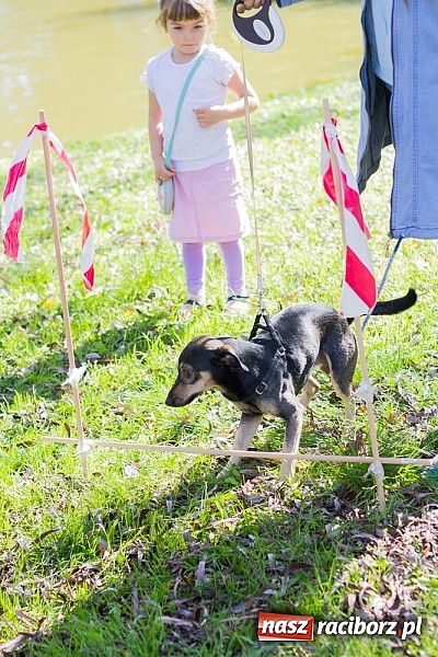 Zdjęcie w galerii na portalu naszraciborz.pl: Zerwijmy Łańcuchy w Parku Roth wiadomości z regionu