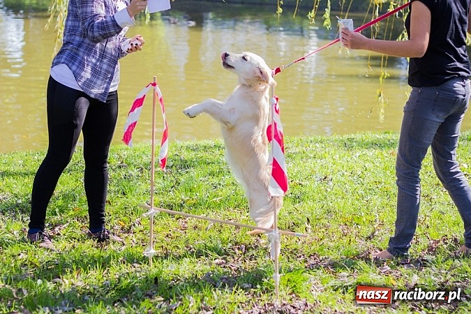 Zdjęcie w galerii na portalu naszraciborz.pl: Zerwijmy Łańcuchy w Parku Roth wiadomości z regionu