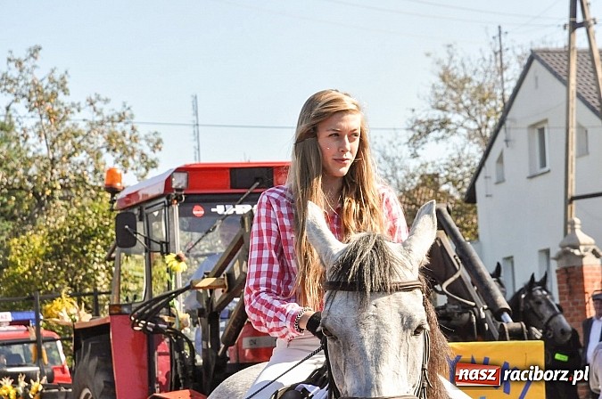 Zdjęcie w galerii na portalu naszraciborz.pl: Jadą wozy kolorowe... czyli tak się bawi Brzezie! wiadomości z regionu