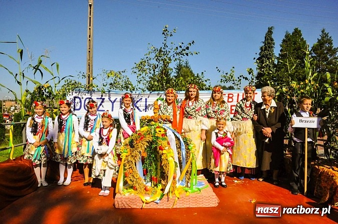 Zdjęcie w galerii na portalu naszraciborz.pl: Jadą wozy kolorowe... czyli tak się bawi Brzezie! wiadomości z regionu