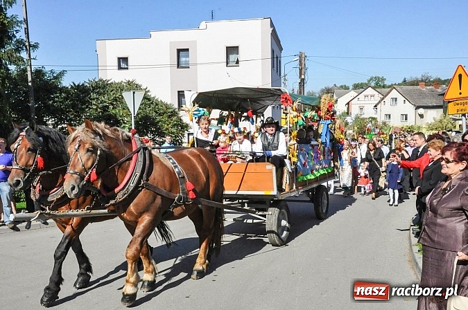 Zdjęcie w galerii na portalu naszraciborz.pl: Jadą wozy kolorowe... czyli tak się bawi Brzezie! wiadomości z regionu