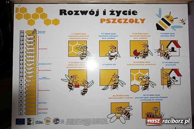 Zdjęcie w galerii na portalu naszraciborz.pl: Koło Pszczelarzy Gminy Krzyżanowice ma już 60 lat! Wielki jubileusz świętowano w Tworkowie wiadomości z regionu