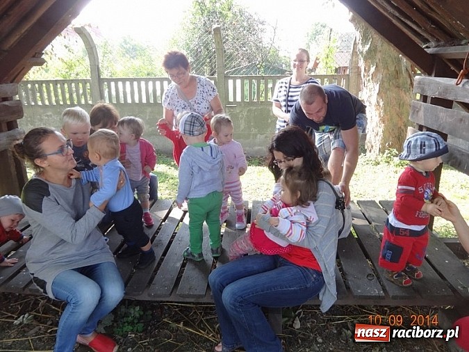 Zdjęcie w galerii na portalu naszraciborz.pl: Bobasy i maluchy opanowały RCK  wiadomości z regionu