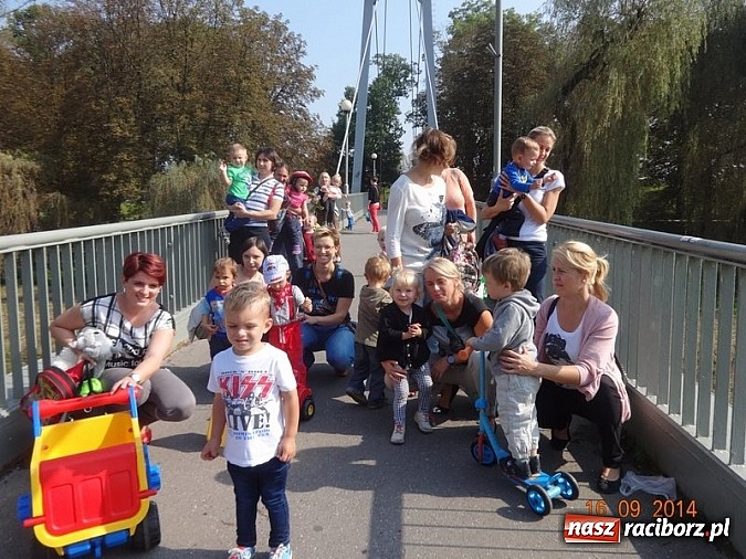 Zdjęcie w galerii na portalu naszraciborz.pl: Bobasy i maluchy opanowały RCK  wiadomości z regionu