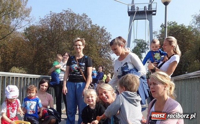 Zdjęcie w galerii na portalu naszraciborz.pl: Bobasy i maluchy opanowały RCK  wiadomości z regionu