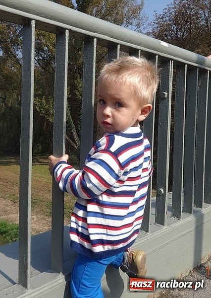 Zdjęcie w galerii na portalu naszraciborz.pl: Bobasy i maluchy opanowały RCK  wiadomości z regionu