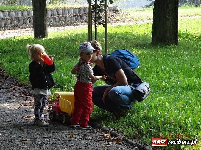 Zdjęcie w galerii na portalu naszraciborz.pl: Bobasy i maluchy opanowały RCK  wiadomości z regionu