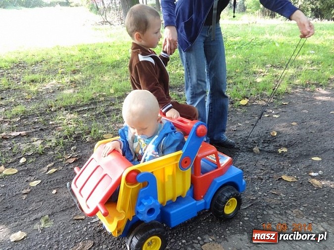 Zdjęcie w galerii na portalu naszraciborz.pl: Bobasy i maluchy opanowały RCK  wiadomości z regionu