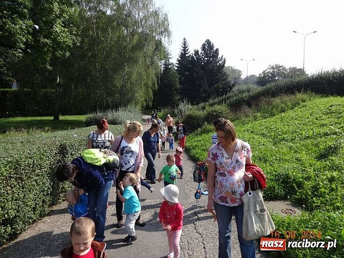 Zdjęcie w galerii na portalu naszraciborz.pl: Bobasy i maluchy opanowały RCK  wiadomości z regionu