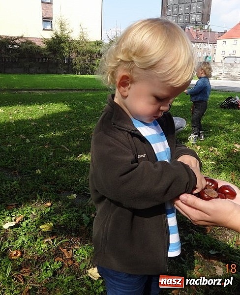 Zdjęcie w galerii na portalu naszraciborz.pl: Bobasy i maluchy opanowały RCK  wiadomości z regionu