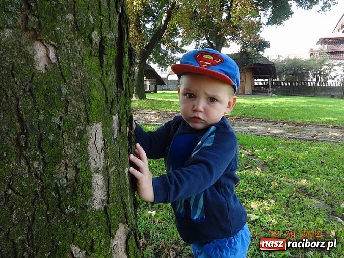 Zdjęcie w galerii na portalu naszraciborz.pl: Bobasy i maluchy opanowały RCK  wiadomości z regionu