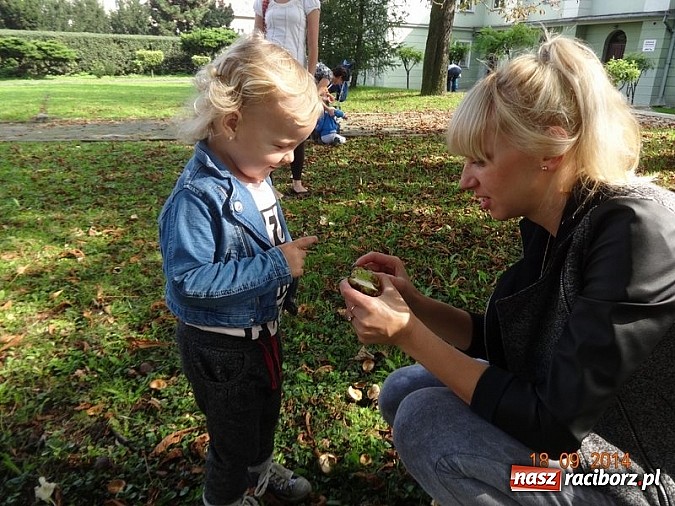 Zdjęcie w galerii na portalu naszraciborz.pl: Bobasy i maluchy opanowały RCK  wiadomości z regionu