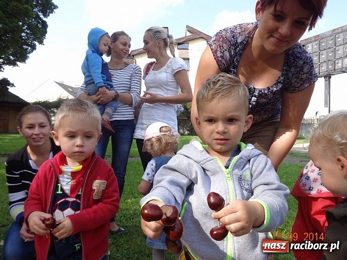 Zdjęcie w galerii na portalu naszraciborz.pl: Bobasy i maluchy opanowały RCK  wiadomości z regionu
