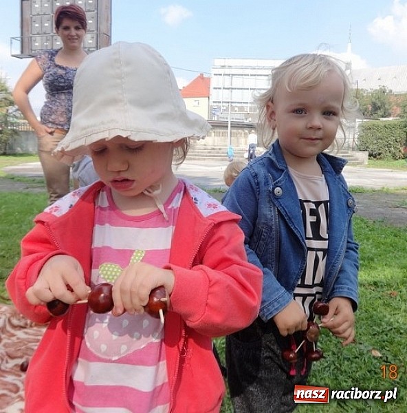 Zdjęcie w galerii na portalu naszraciborz.pl: Bobasy i maluchy opanowały RCK  wiadomości z regionu