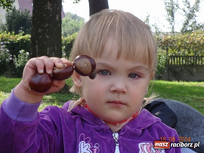 Zdjęcie w galerii na portalu naszraciborz.pl: Bobasy i maluchy opanowały RCK  wiadomości z regionu