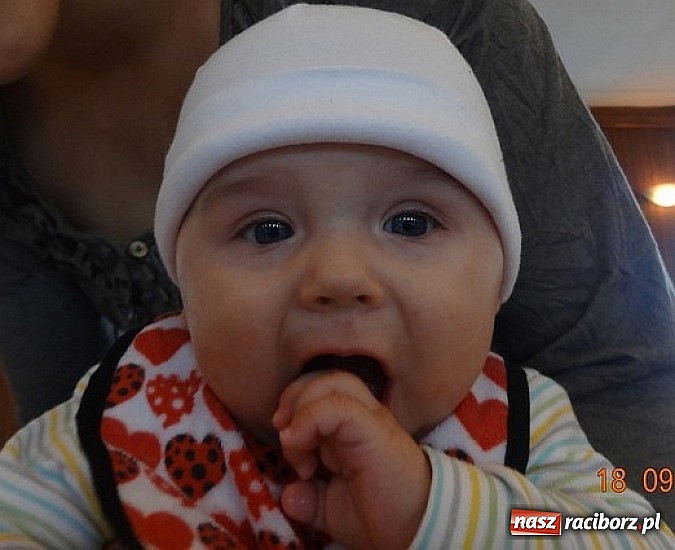 Zdjęcie w galerii na portalu naszraciborz.pl: Bobasy i maluchy opanowały RCK  wiadomości z regionu