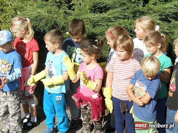 Zdjęcie w galerii na portalu naszraciborz.pl: Zielona Flaga dla SP 1 w Raciborzu wiadomości z regionu