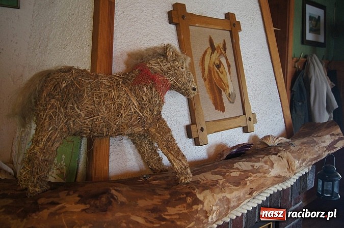 Zdjęcie w galerii na portalu naszraciborz.pl: Jedno z najlepszych gospodarstw agroturystycznych działa w gminie Nędza wiadomości z regionu