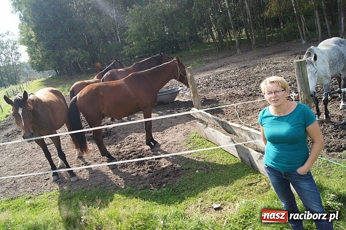 Zdjęcie w galerii na portalu naszraciborz.pl: Jedno z najlepszych gospodarstw agroturystycznych działa w gminie Nędza wiadomości z regionu