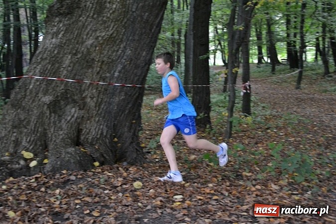 Zdjęcie w galerii na portalu naszraciborz.pl: W Tworkowie królowały dziś przełaje  wiadomości z regionu