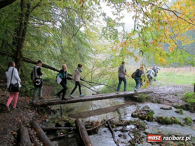 Zdjęcie w galerii na portalu naszraciborz.pl: Poszukiwacze ścieżek i skarbów jesieni z G5 w Ojcowskim Parku Narodowym wiadomości z regionu