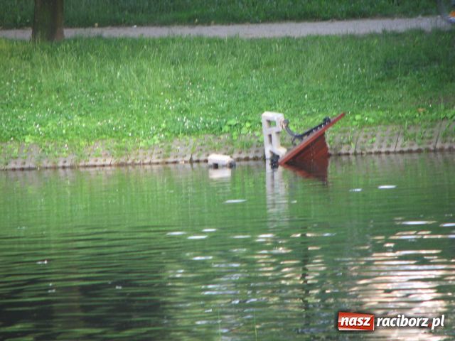 Zdjęcie w galerii na portalu naszraciborz.pl: Wandale najechali na park Roth wiadomości z regionu