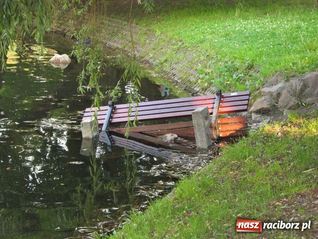 Zdjęcie w galerii na portalu naszraciborz.pl: Wandale najechali na park Roth wiadomości z regionu