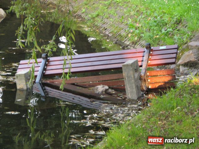 Zdjęcie w galerii na portalu naszraciborz.pl: Wandale najechali na park Roth wiadomości z regionu
