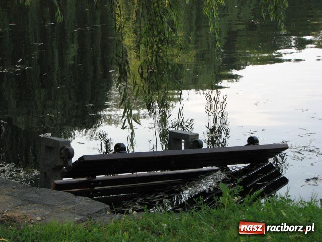 Zdjęcie w galerii na portalu naszraciborz.pl: Wandale najechali na park Roth wiadomości z regionu