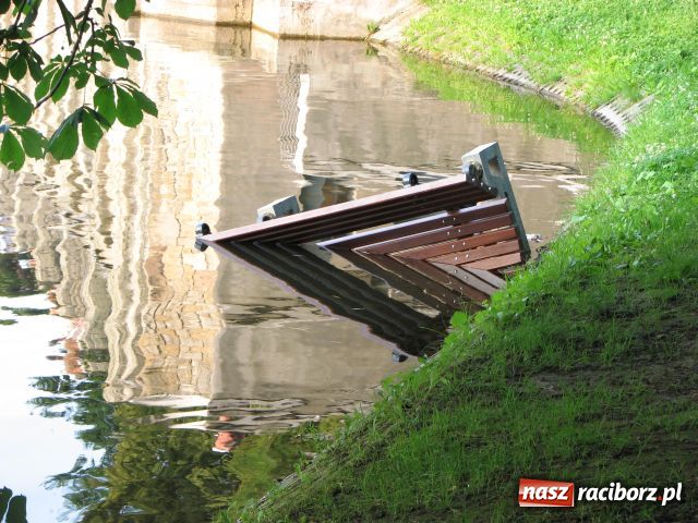 Zdjęcie w galerii na portalu naszraciborz.pl: Wandale najechali na park Roth wiadomości z regionu