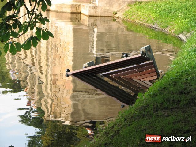 Zdjęcie w galerii na portalu naszraciborz.pl: Wandale najechali na park Roth wiadomości z regionu