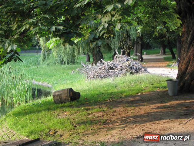 Zdjęcie w galerii na portalu naszraciborz.pl: Wandale najechali na park Roth wiadomości z regionu