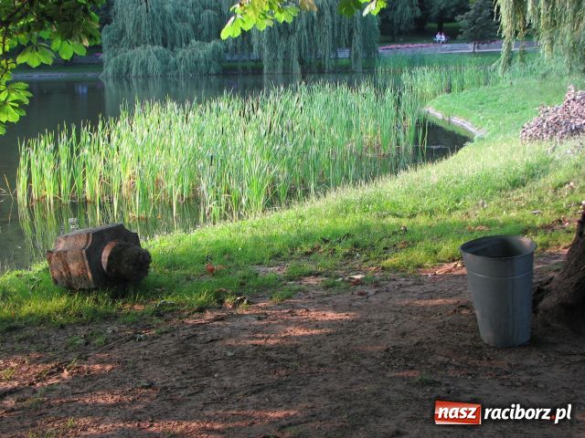 Zdjęcie w galerii na portalu naszraciborz.pl: Wandale najechali na park Roth wiadomości z regionu