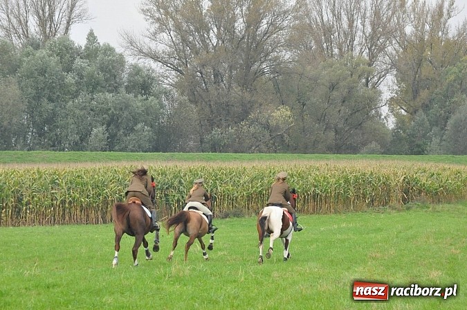Zdjęcie w galerii na portalu naszraciborz.pl: Raciborski Hubertus 2014. Przy Huzarskiej na Ostrogu spotkali się miłośnicy koni wiadomości z regionu