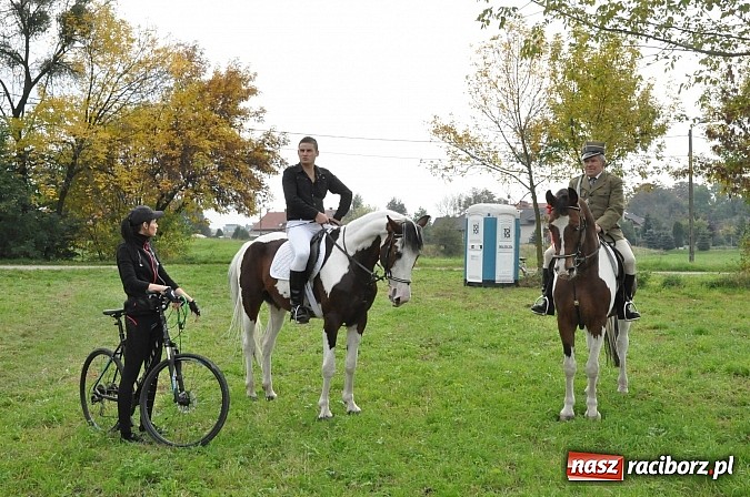 Zdjęcie w galerii na portalu naszraciborz.pl: Raciborski Hubertus 2014. Przy Huzarskiej na Ostrogu spotkali się miłośnicy koni wiadomości z regionu