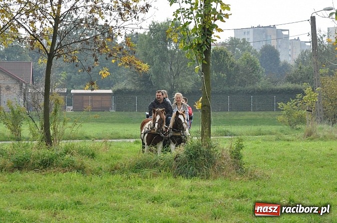 Zdjęcie w galerii na portalu naszraciborz.pl: Raciborski Hubertus 2014. Przy Huzarskiej na Ostrogu spotkali się miłośnicy koni wiadomości z regionu