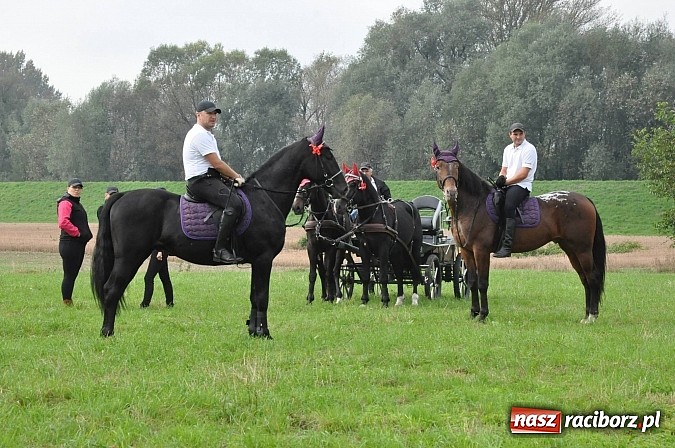 Zdjęcie w galerii na portalu naszraciborz.pl: Raciborski Hubertus 2014. Przy Huzarskiej na Ostrogu spotkali się miłośnicy koni wiadomości z regionu