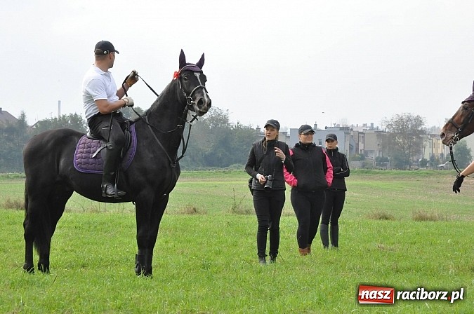 Zdjęcie w galerii na portalu naszraciborz.pl: Raciborski Hubertus 2014. Przy Huzarskiej na Ostrogu spotkali się miłośnicy koni wiadomości z regionu