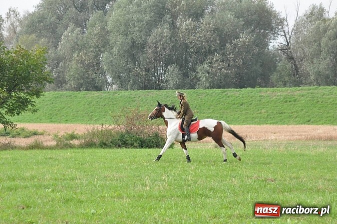 Zdjęcie w galerii na portalu naszraciborz.pl: Raciborski Hubertus 2014. Przy Huzarskiej na Ostrogu spotkali się miłośnicy koni wiadomości z regionu