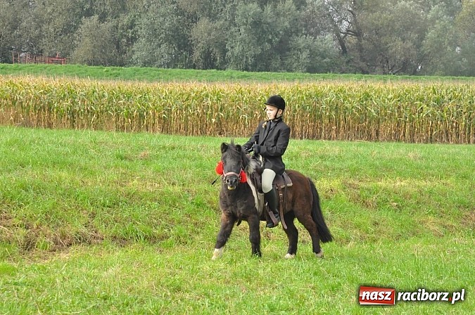 Zdjęcie w galerii na portalu naszraciborz.pl: Raciborski Hubertus 2014. Przy Huzarskiej na Ostrogu spotkali się miłośnicy koni wiadomości z regionu
