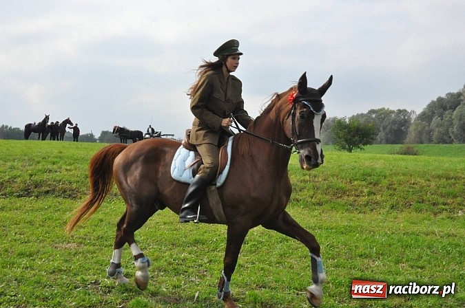 Zdjęcie w galerii na portalu naszraciborz.pl: Raciborski Hubertus 2014. Przy Huzarskiej na Ostrogu spotkali się miłośnicy koni wiadomości z regionu