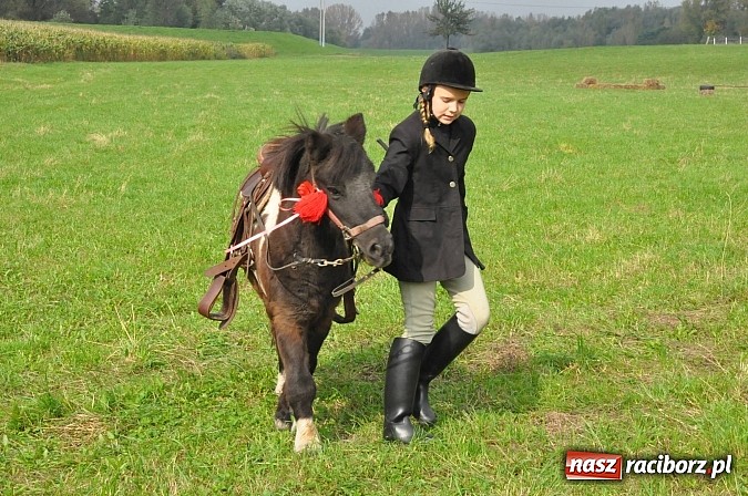 Zdjęcie w galerii na portalu naszraciborz.pl: Raciborski Hubertus 2014. Przy Huzarskiej na Ostrogu spotkali się miłośnicy koni wiadomości z regionu