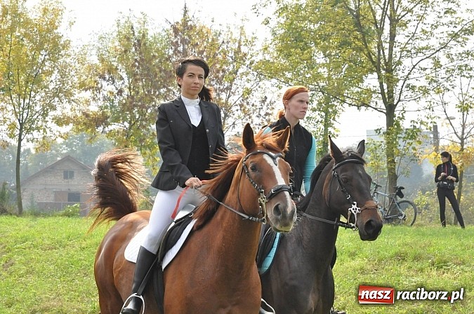Zdjęcie w galerii na portalu naszraciborz.pl: Raciborski Hubertus 2014. Przy Huzarskiej na Ostrogu spotkali się miłośnicy koni wiadomości z regionu
