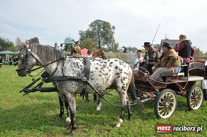 Zdjęcie w galerii na portalu naszraciborz.pl: Raciborski Hubertus 2014. Przy Huzarskiej na Ostrogu spotkali się miłośnicy koni wiadomości z regionu