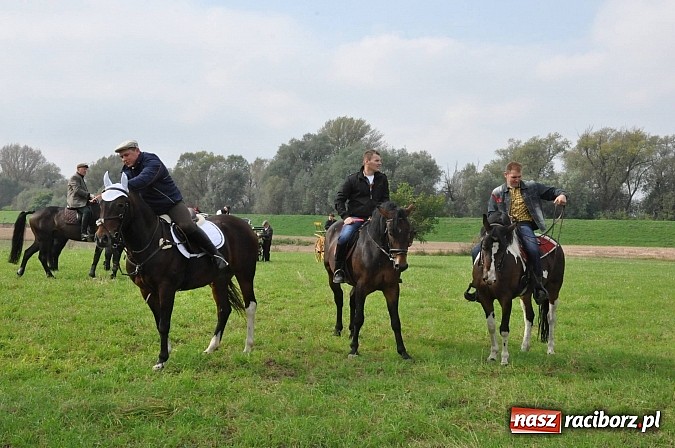 Zdjęcie w galerii na portalu naszraciborz.pl: Raciborski Hubertus 2014. Przy Huzarskiej na Ostrogu spotkali się miłośnicy koni wiadomości z regionu